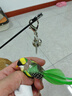 灵宠物语【3只装】逗猫棒猫玩具小鸟替换头带铃铛羽毛 实拍图