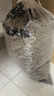 麦富迪狗粮 藻趣儿狗粮成犬粮牛肉螺旋藻 均衡营养15kg/30斤 实拍图