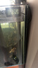 创星鱼缸加热棒电加热器自动恒温水族箱小型乌龟缸加温棒HCH 【自动恒温】适50-150L内蓝头HCH-300W 实拍图