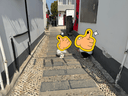 莫尔兔 儿童鞋包头溯溪凉鞋春夏季新款男女童运动户外涉水鞋男宝宝踩水 实拍图