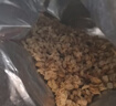 卡乐比（Calbee）即食燕麦片 原味水果麦片600g 进口非油炸 营养早餐零食 年货送礼 实拍图