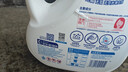 活力28山茶花洗衣液7.2斤大瓶装 3.6kg不含荧光增白剂去污香氛持久留香 实拍图