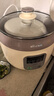 小熊（Bear）电炖锅 电炖盅 隔水炖锅3-4人用 煲汤锅 燕窝炖盅 炖汤锅 炖汤盅 宝宝辅食锅 DDZ-C25X6 4L配蒸笼 实拍图