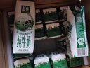 伊利【新鲜日期】金典纯牛奶整箱 250ml*16盒 3.6g乳蛋白 年货礼盒装 实拍图