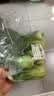 京鲜生 上海青 新鲜小油菜 600g 简装 新鲜蔬菜春节也送货 实拍图