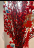 【红色招财银柳】干花真花鲜枝耐寒年宵花水培花卉室内摆放装饰花 60厘米【30支】送灯笼 实拍图