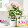 爱优尚三角梅盆栽带花苞树阳台室内植物阳台庭院四季开花紫樱源头直发 实拍图