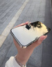 ALittleFlower适用iPhone17 ProMax钢化膜苹果17ProMax手机膜高清防尘防指纹边贴膜全屏不顶手机壳保护膜2片 实拍图