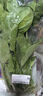 大菠菜300g 实拍图