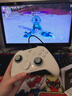 飞智冰原狼4多模版无线游戏手柄 类xbox 力调节摇杆双切扳机 switch电脑PC手机steam体感NS 仁王3 实拍图