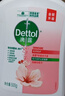 滴露（Dettol）洗手液抑菌杀菌消毒滋润500g+500g 补充装儿童家庭护手替换 实拍图