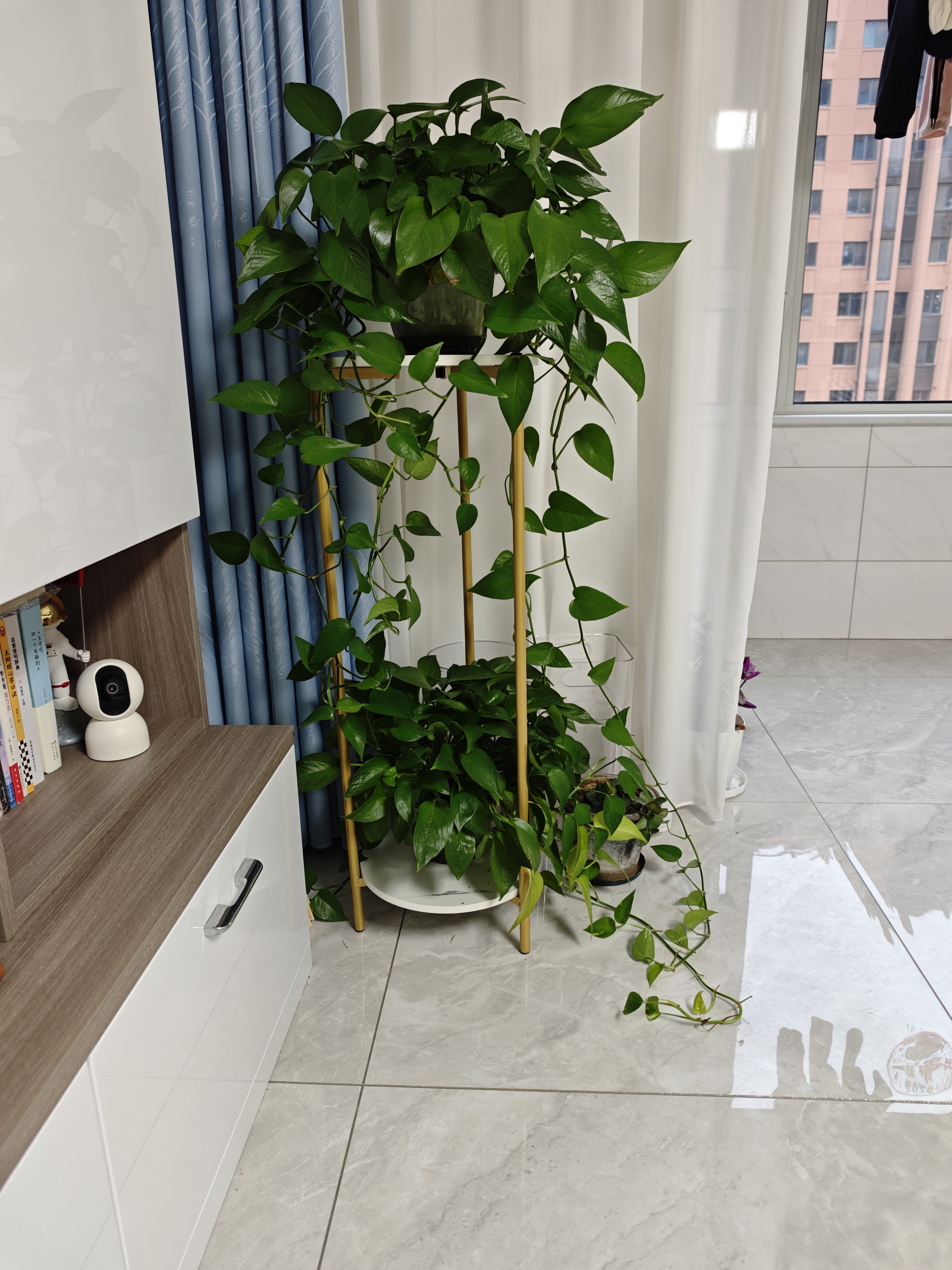 小匠材花架客厅落地式铁艺立柱植物摆放架花盆托层置物架阳台金白30*90 实拍图