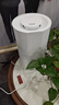 格力（GREE）加湿器家用静音卧室床头小型母婴除菌拆洗空气加湿器办公室桌面落地大雾量宿舍取暖有雾加湿(X70a) 实拍图