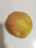 京鲜生 新疆库尔勒香梨 净重4.5斤 单果140g+ 生鲜水果 实拍图