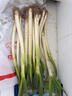 【农户直通车】大葱约500g 实拍图