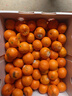 京鲜生 正宗广西砂糖橘礼盒净重4.5斤 单果35-55mm年货礼盒源头直发包邮 实拍图
