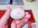 京鲜生 无抗保洁鲜鸡蛋30枚/盒 健康轻食 礼盒送礼 1.5kg/盒 源头直发 实拍图