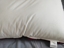 水星家纺枕头枕芯酒店枕头护颈枕头芯家用单个纯棉抗菌可水洗中枕48x74cm 实拍图