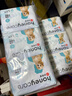 HONEYCARE好命家 狗狗纸尿裤公狗尿不湿安全裤XS适用体重2.5-4kg/12片3包装 实拍图