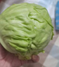 高原夏菜新鲜包菜卷心菜绿甘南菜甘蓝圆白菜时令蔬菜健康营养早餐 9斤净重农家好菜 实拍图