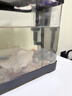 阔庭（KUOTING）鱼缸桌面透明生态鱼缸客厅水族箱黑色 实拍图