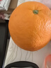 玖原农珍 赣南脐橙新鲜橙子含箱10斤净重9斤优选果150-300g 年货水果礼盒 实拍图