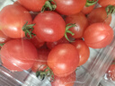 京鲜生山东千禧贝贝小西红柿 圣女果 净重2.8斤源头直发 实拍图