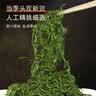 鲜窝窝 盐渍鞭炮笋250g 火锅食材马尾藻长寿菜关东煮麻辣烫凉拌下饭菜 实拍图