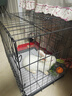 腆宠狗笼猫笼 狗笼子中小型犬带厕所幼犬狗窝猫笼子大号家用围栏兔笼 实拍图