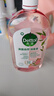 滴露（Dettol）香氛自然衣物消毒液杀菌48H留香洗衣除汗臭儿童玩具消毒水1L*4 实拍图