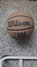 Wilson威尔胜NBA绝尘系列ENCORE PLUS防尘皮革室外神器成人比赛7号篮球 实拍图