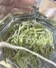 寻西湖茶叶毛尖绿茶2026新茶特级明前信阳原产嫩芽春茶送礼茶叶礼盒250g 实拍图