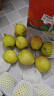 京鲜生 新疆库尔勒香梨 净重8斤 单果120g起 生鲜水果 礼盒装 包装随机 实拍图