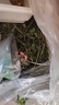 洁西私房兔粮2.5kg 苜蓿草1kg 全阶兔粮 宠物兔子饲料提摩西草 实拍图