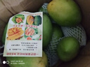 集南鲜 越南青玉芒果 芒果当季大青皮黄皮大芒果新鲜水果整箱 含箱10斤 单果250g起  净重9斤 实拍图
