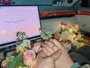 周生生中秋节莫比乌斯黄金戒指 亮面情侣对戒 93863R计价 11圈2.2克 实拍图