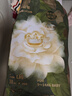 babycare金山茶花拉拉裤L38片(9-14kg)婴儿尿不湿超薄透气新生柔花苞裤 实拍图
