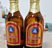 青岛啤酒（TsingTao）黑啤原麦汁浓度12°P  500ml*12罐 精酿啤酒 整箱装 年货送礼 实拍图