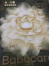 babycare金山茶花纸尿裤S58片(4-8kg)新生儿婴儿尿不湿超薄透气轻柔花苞裤 实拍图