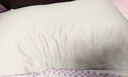 康尔馨希尔顿五星级酒店枕头 抗菌纯棉纤维枕成人家用单人枕头芯 白色 中枕(74*48cm) 一对 实拍图