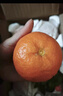 京鲜生 四川爱媛38号果冻橙 净重8斤 单果190g起 生鲜水果柑橘桔子礼盒 实拍图