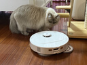 石头（roborock）扫地机器人扫拖一体 P20 扫拖洗烘一体机 自动集尘烘干补水擦地拖地洗地机吸尘器 A1690RR 实拍图