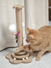 HELLOJOY猫抓柱剑麻猫抓板猫玩具耐抓耐磨不掉屑猫爬架立式自嗨解闷用品 实拍图