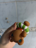 Hape(德国)洗澡沐浴玩具游泳安抚泰迪戏水8件套生日礼物1岁suit0030 实拍图