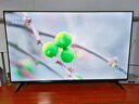 TCL雷鸟电视 50英寸雀4 25款 莱茵护眼双认证 无开机广告 家电国家补贴电视50F195C 实拍图
