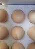 京鲜生 无抗保洁鲜鸡蛋30枚/盒 健康轻食 礼盒送礼 1.5kg/盒 源头直发 实拍图