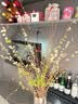 蓝桂圆雪柳鲜枝 干枝水培开花 内客厅插花好养易活70-80CM6枝源头直发 实拍图