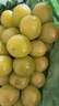 阳光玫瑰葡萄晴王青提香水提子山西新鲜水果一斤也是批发价 带箱5斤大果【单果克重10g-20g】（净重约4.5斤） 实拍图