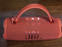 JBL CHARGE6 音乐冲击波六代 便携蓝牙音箱+低音炮 户外防水音响 派对串联 生日礼物 庆典红 实拍图