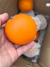 京鲜生 四川爱媛38号果冻橙 净重5斤 单果180g起 生鲜水果柑橘年货礼盒 实拍图